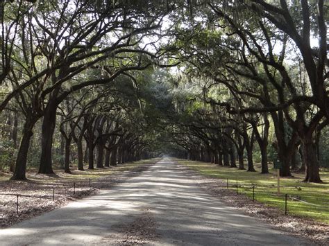 forrest gump wormsloe plantation